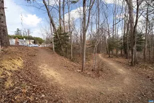 1204 Holmes Ave, Charlottesville, VA 22901 - Photo 50