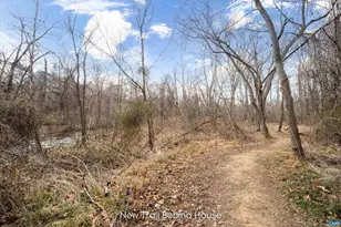 1204 Holmes Ave, Charlottesville, VA 22901 - Photo 20