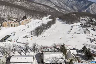 167 Mountain Inn Condos, Wintergreen Resort, VA 22967 - Photo 20