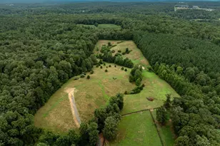 Tbd Watts Passage, Charlottesville, VA 22911 - Photo 6