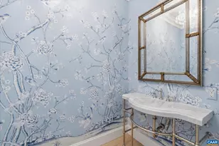 4018 Fairway Dr, Keswick, VA 22947 - Photo 54