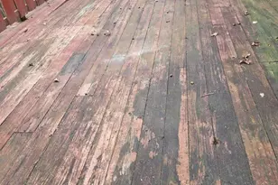 1654 Farley Park Rd, Church View, VA 23032 - Photo 12