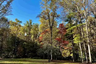 2482 Schelford Farm Rd, Charlottesville, VA 22901 - Photo 38
