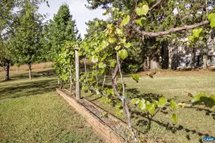 2402 Rock Branch Ln, North Garden, VA 22959 - Photo 66