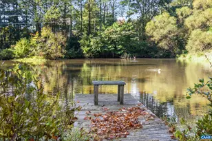 2402 Rock Branch Ln, North Garden, VA 22959 - Photo 74