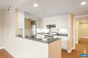 255 E Jefferson St, Charlottesville, VA 22902 - Photo 16