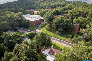 2203 Stadium Rd, Charlottesville, VA 22903 - Photo 46