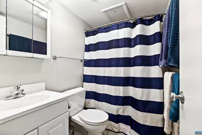 102 Slate Pl, Charlottesville, VA 22902 - Photo 36