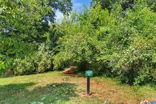 1490 Wickham Pond Dr, Charlottesville, VA 22901 - Photo 52