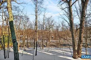 2247 Tanners Ridge, Wintergreen Resort, VA 22967 - Photo 26