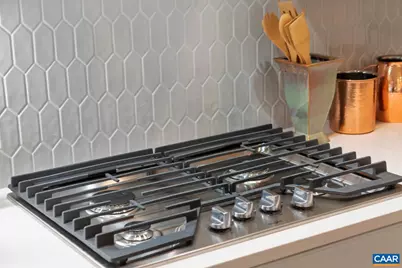 2226 Farrow Dr, Charlottesville, VA 22901 - Photo 10