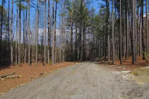 3324 Laurel Rd, Shipman, VA 22971 - Photo 34