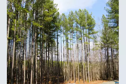 3324 Laurel Rd, Shipman, VA 22971 - Photo 32