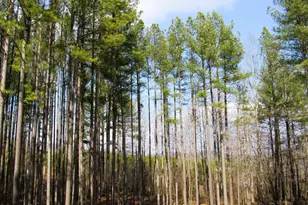 3324 Laurel Rd, Shipman, VA 22971 - Photo 32