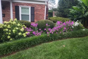 221 Lee Ave, Orange, VA 22960 - Photo 4