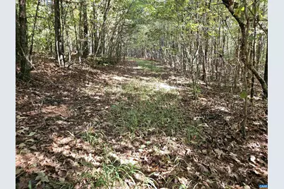 10239 Howardsville Rd, Howardsville, VA 24562 - Photo 36