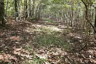 10239 Howardsville Rd, Howardsville, VA 24562 - Photo 36