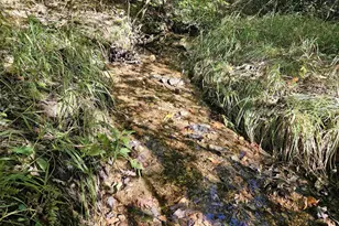 10239 Howardsville Rd, Howardsville, VA 24562 - Photo 34