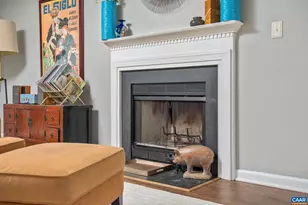 1143 Raintree Dr, Charlottesville, VA 22901 - Photo 4