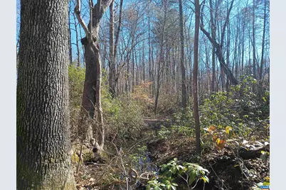 3901 Midland Rd, Wingina, VA 24599 - Photo 16