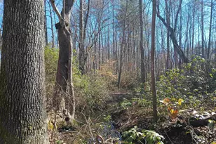 3901 Midland Rd, Wingina, VA 24599 - Photo 16