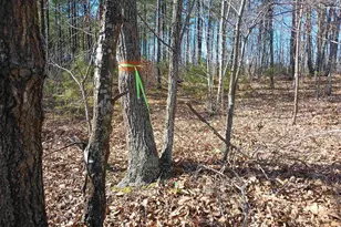 3901 Midland Rd, Wingina, VA 24599 - Photo 74