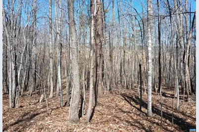 3901 Midland Rd, Wingina, VA 24599 - Photo 12