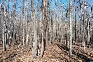 3901 Midland Rd, Wingina, VA 24599 - Photo 12