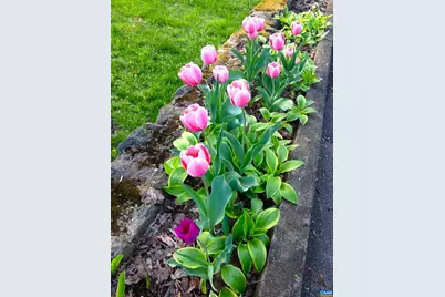 1820 Fendall Ave, Charlottesville, VA 22903 - Photo 56