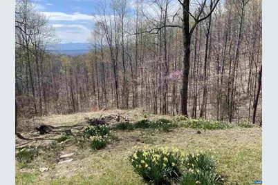 899 Wares Gap Rd, Monroe, VA 24574 - Photo 4