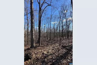 Tbd Edmond Dr #16D, Crozet, VA 22932 - Photo 4