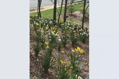 Tbd Edmond Dr #16D, Crozet, VA 22932 - Photo 8