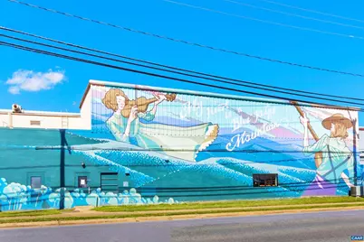 1051 Old Fox Trail Ln, Crozet, VA 22932 - Photo 44