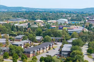 320 Harvest Dr, Charlottesville, VA 22903 - Photo 68