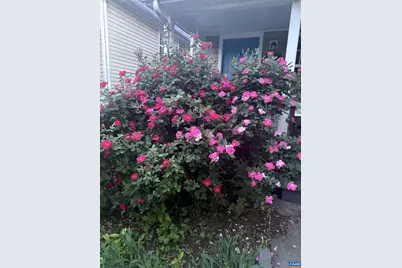 415 NW 12th St, Charlottesville, VA 22903 - Photo 28