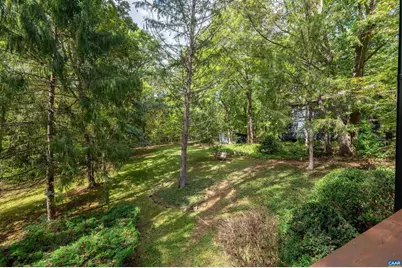 345 Redhawk Trl, Charlottesville, VA 22903 - Photo 48