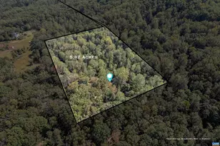 345 Redhawk Trail, Charlottesville, VA 22903 - Photo 74