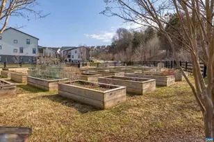 1431 Delphi Ln, Charlottesville, VA 22911 - Photo 66