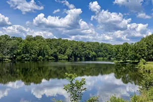 1069 Bristlecone Ln, Charlottesville, VA 22911 - Photo 34