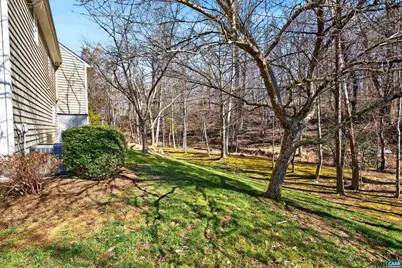 1069 Bristlecone Ln, Charlottesville, VA 22911 - Photo 28
