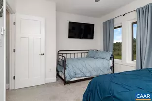 61 Hillside Ln, Afton, VA 22920 - Photo 52