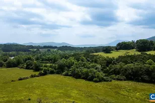 61 Hillside Ln, Afton, VA 22920 - Photo 64