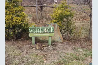 48 Acres Blackwells Hollow Rd, Crozet, VA 22932 - Photo 20