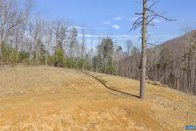 48 Acres Blackwells Hollow Rd, Crozet, VA 22932 - Photo 10