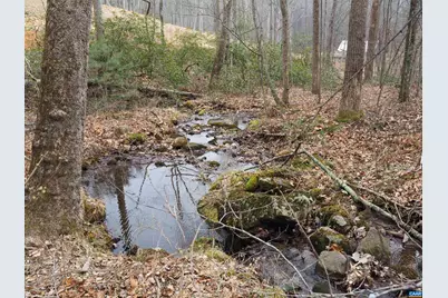 48 Acres Blackwells Hollow Rd, Crozet, VA 22932 - Photo 18