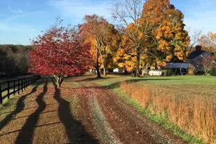 1128 Beaverdam Rd, Keswick, VA 22947 - Photo 10