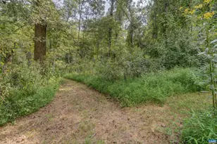 140 Lynx Farm Ln, Charlottesville, VA 22903 - Photo 68