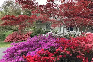 4051 Free Union Rd, Charlottesville, VA 22901 - Photo 38