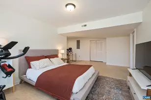 274 Grey Dove Ln, Charlottesville, VA 22903 - Photo 38