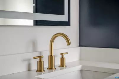 329 Carrsbrook Dr, Charlottesville, VA 22901 - Photo 62